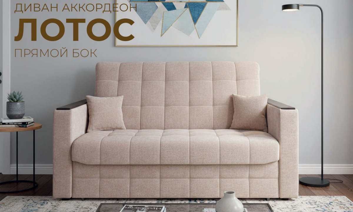 Фотография диван-кровать Лотос прямой бок